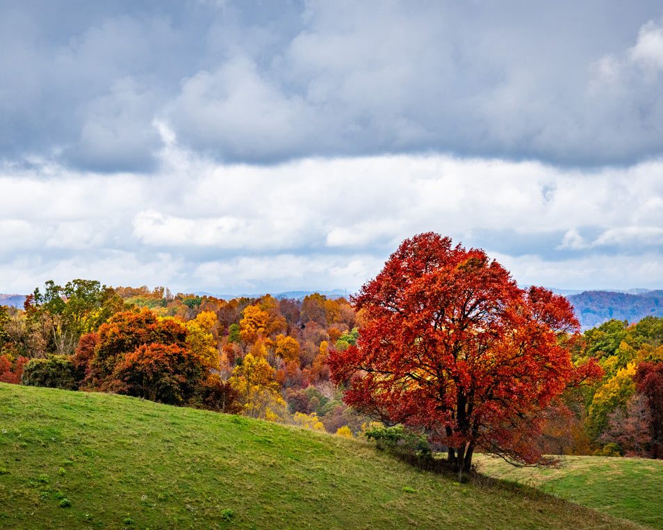 11,685 Positively Impacted Acres in California